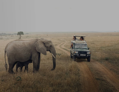 Beyond Borders