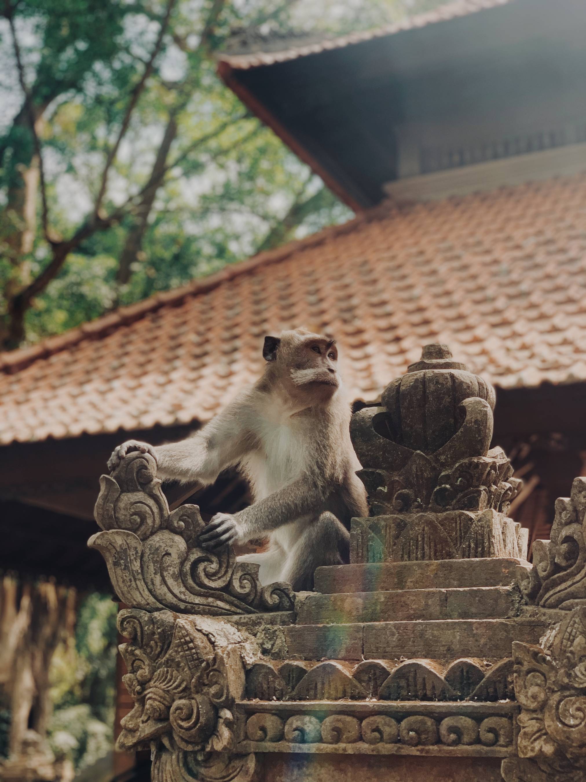 Bali