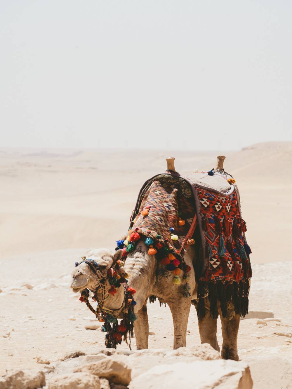 Nile to Red Sea