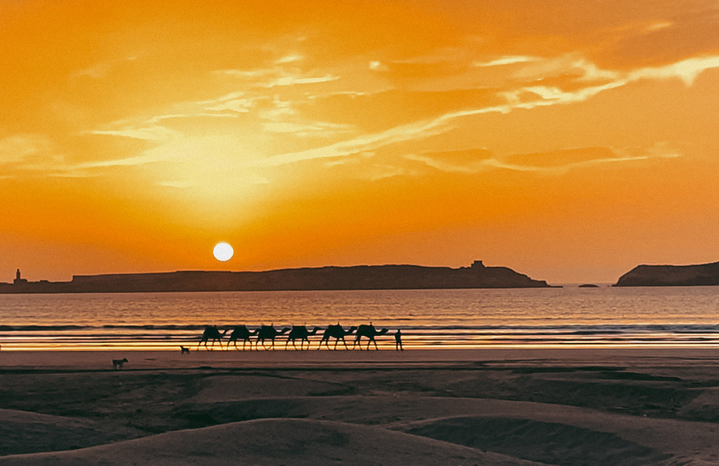 Morocco AFCON & New Years Edition