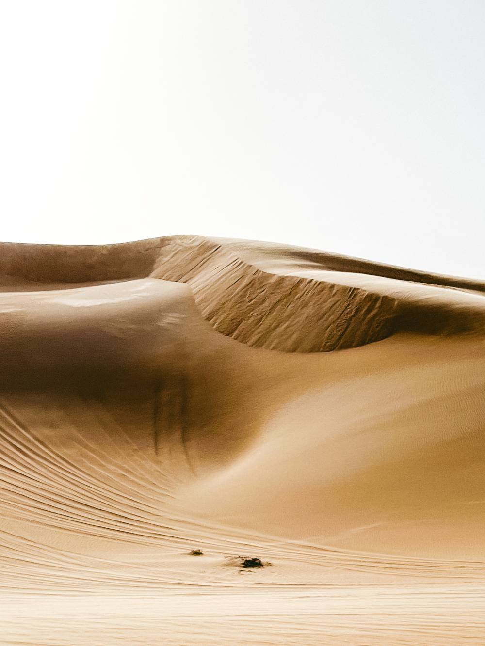 Siwa Oasis