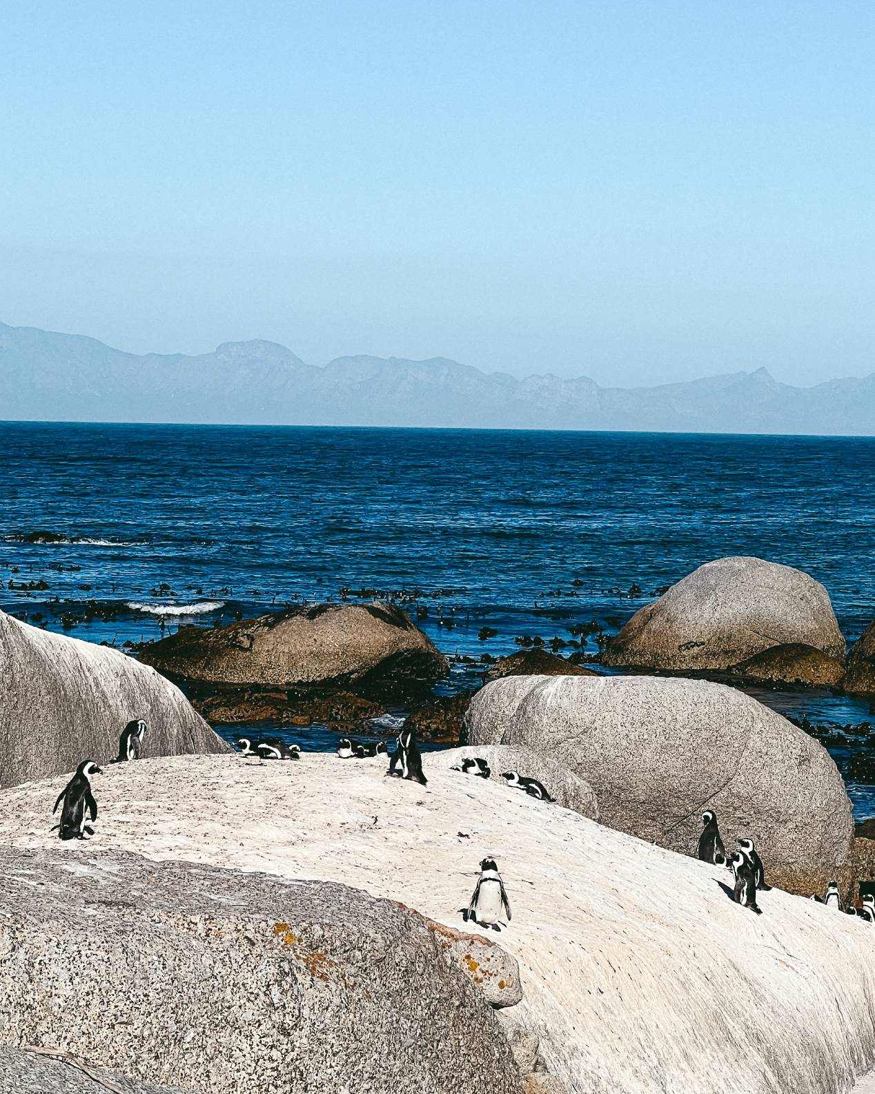 South Africa