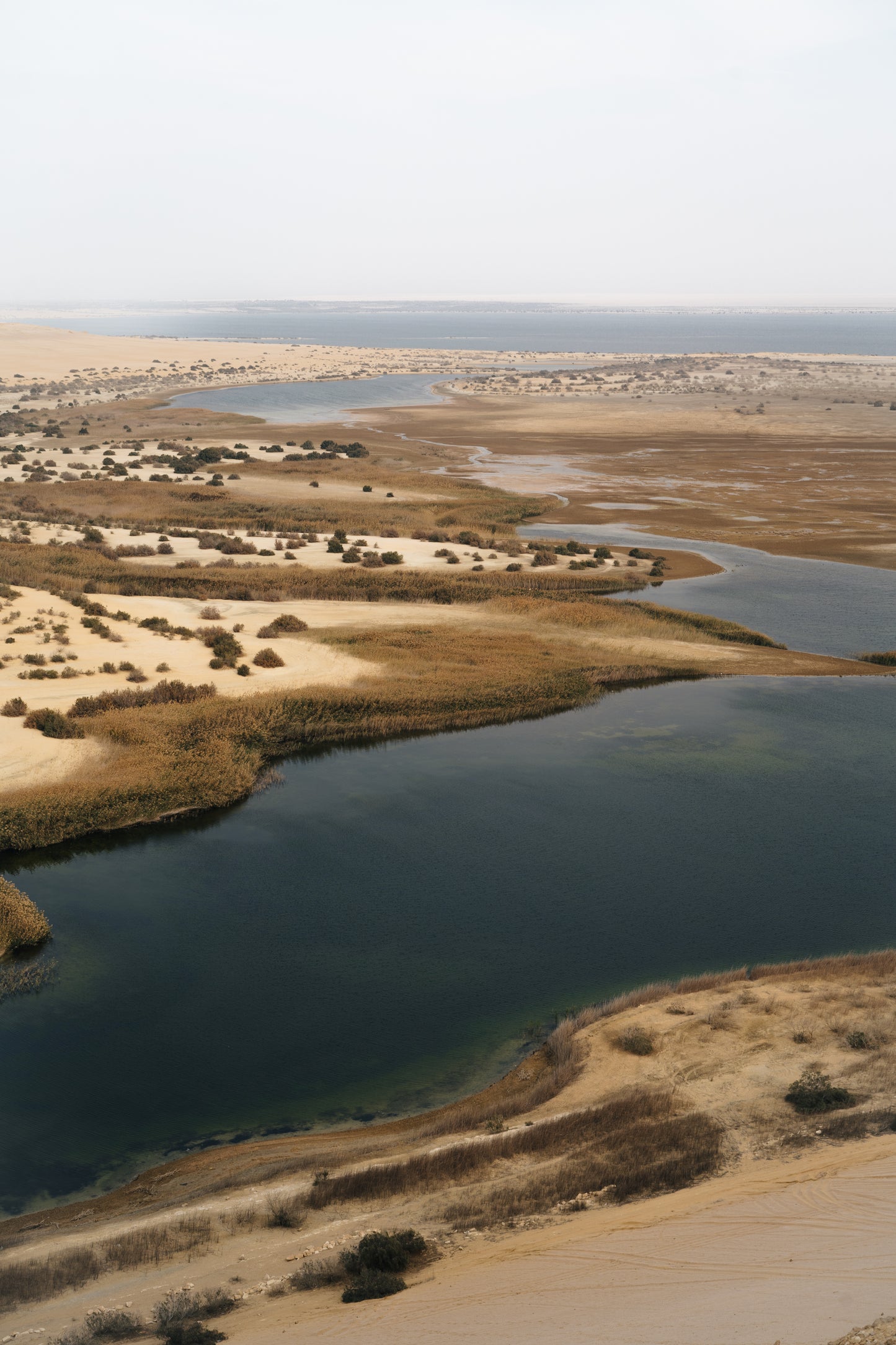 Fayoum Oasis