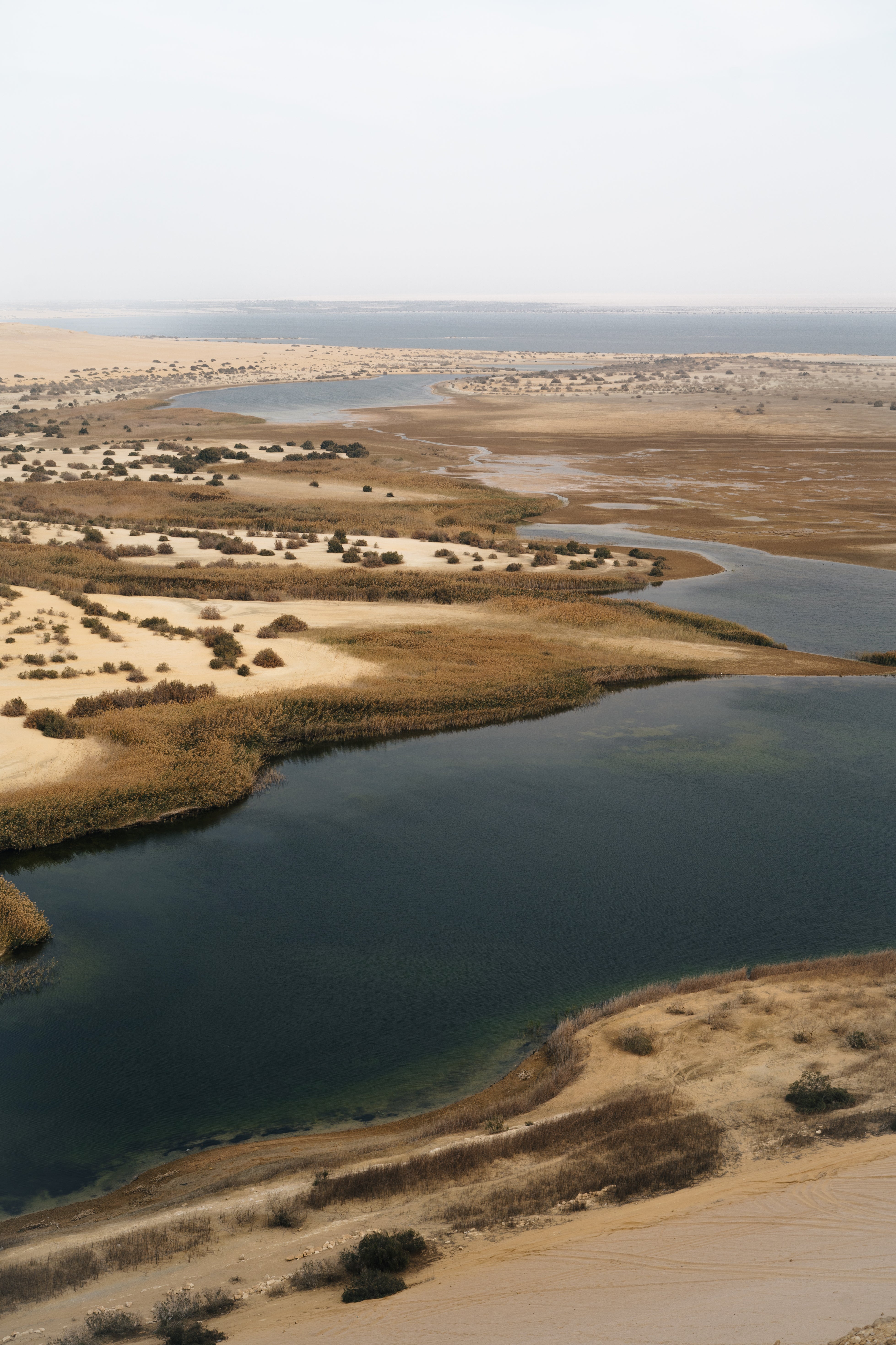 Fayoum Oasis