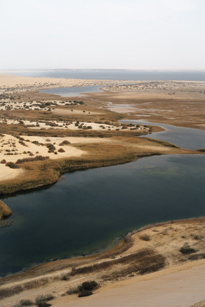 Fayoum Oasis