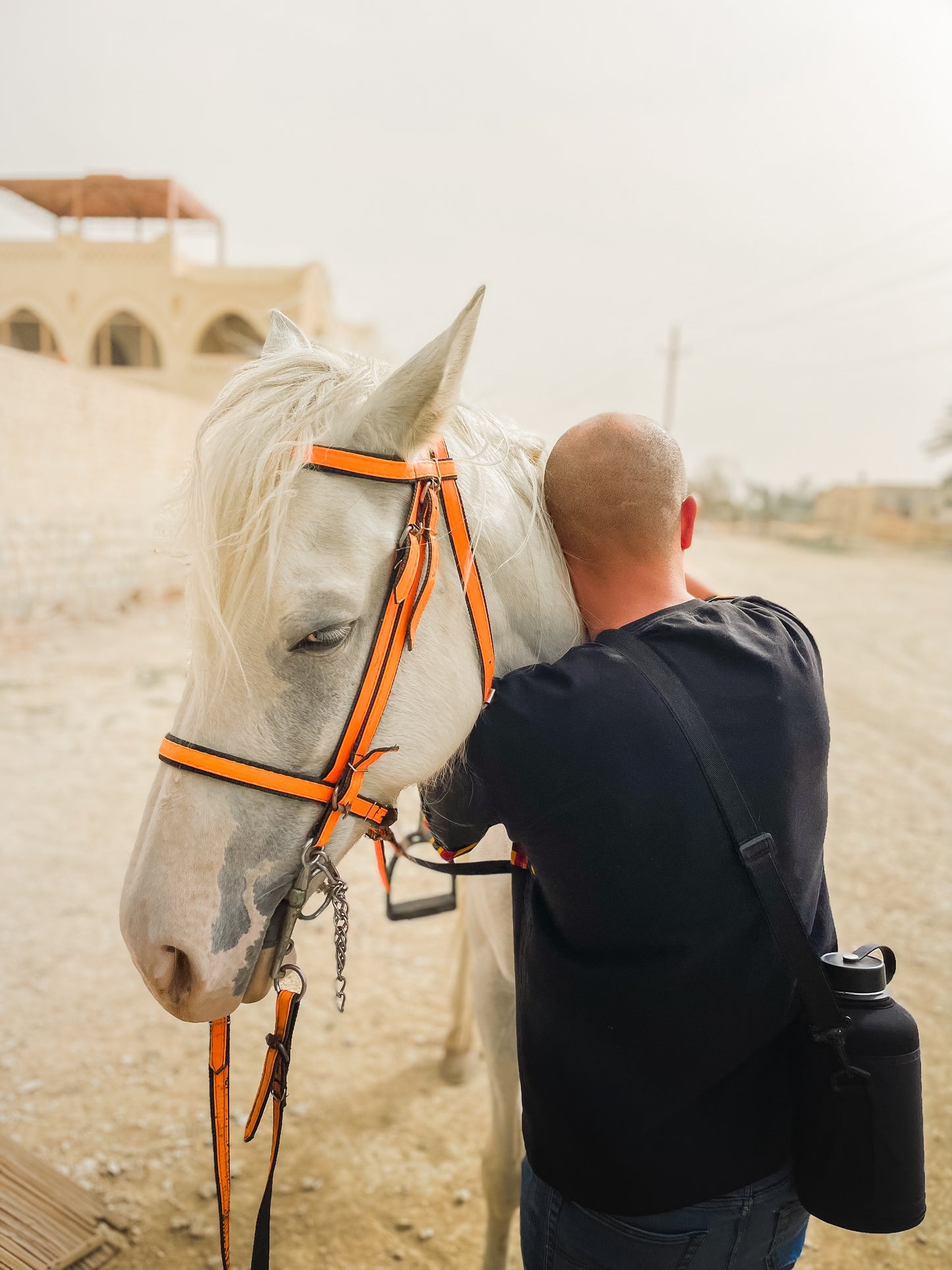 Fayoum Oasis