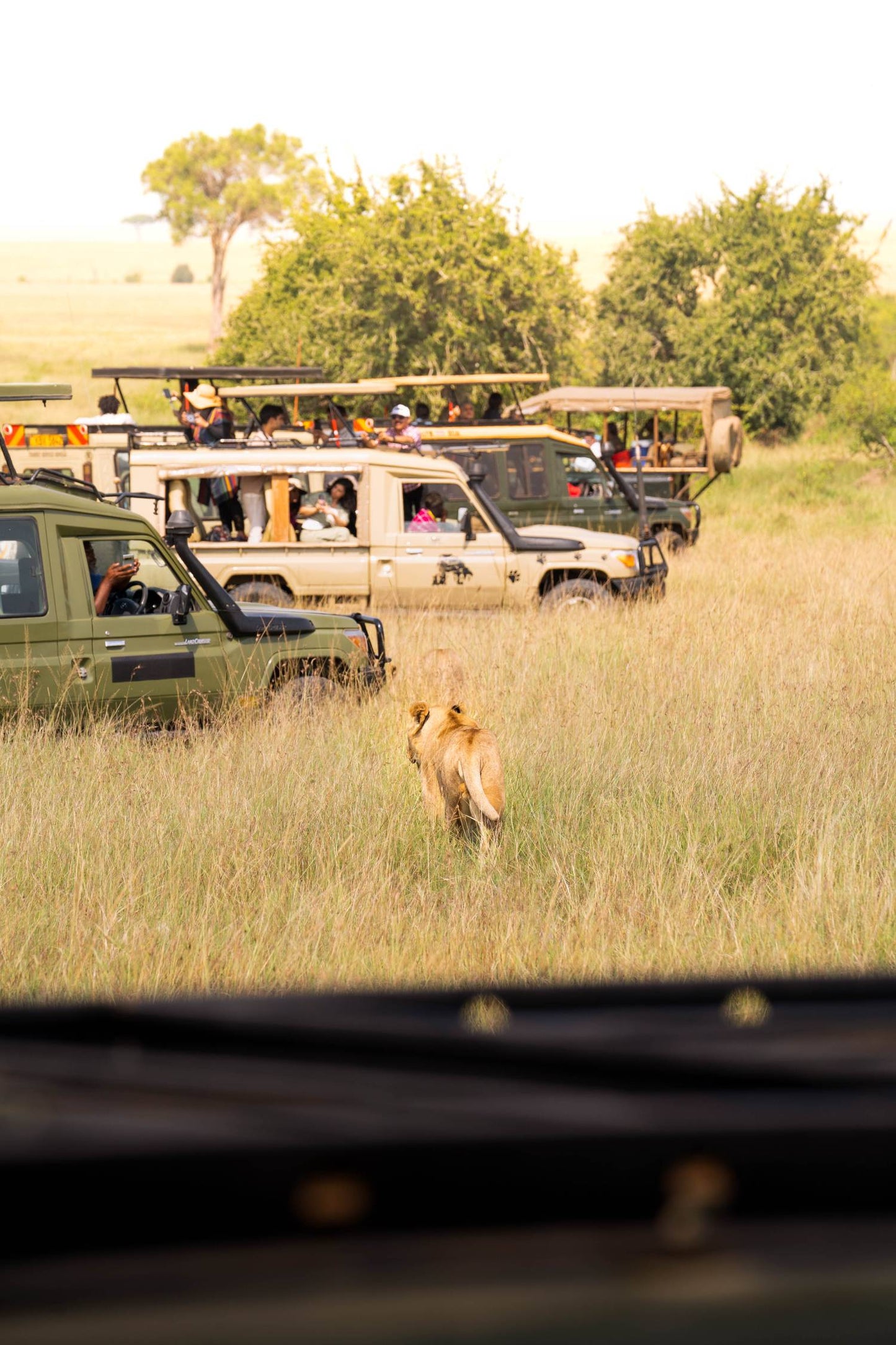 Kenya X Masai Mara