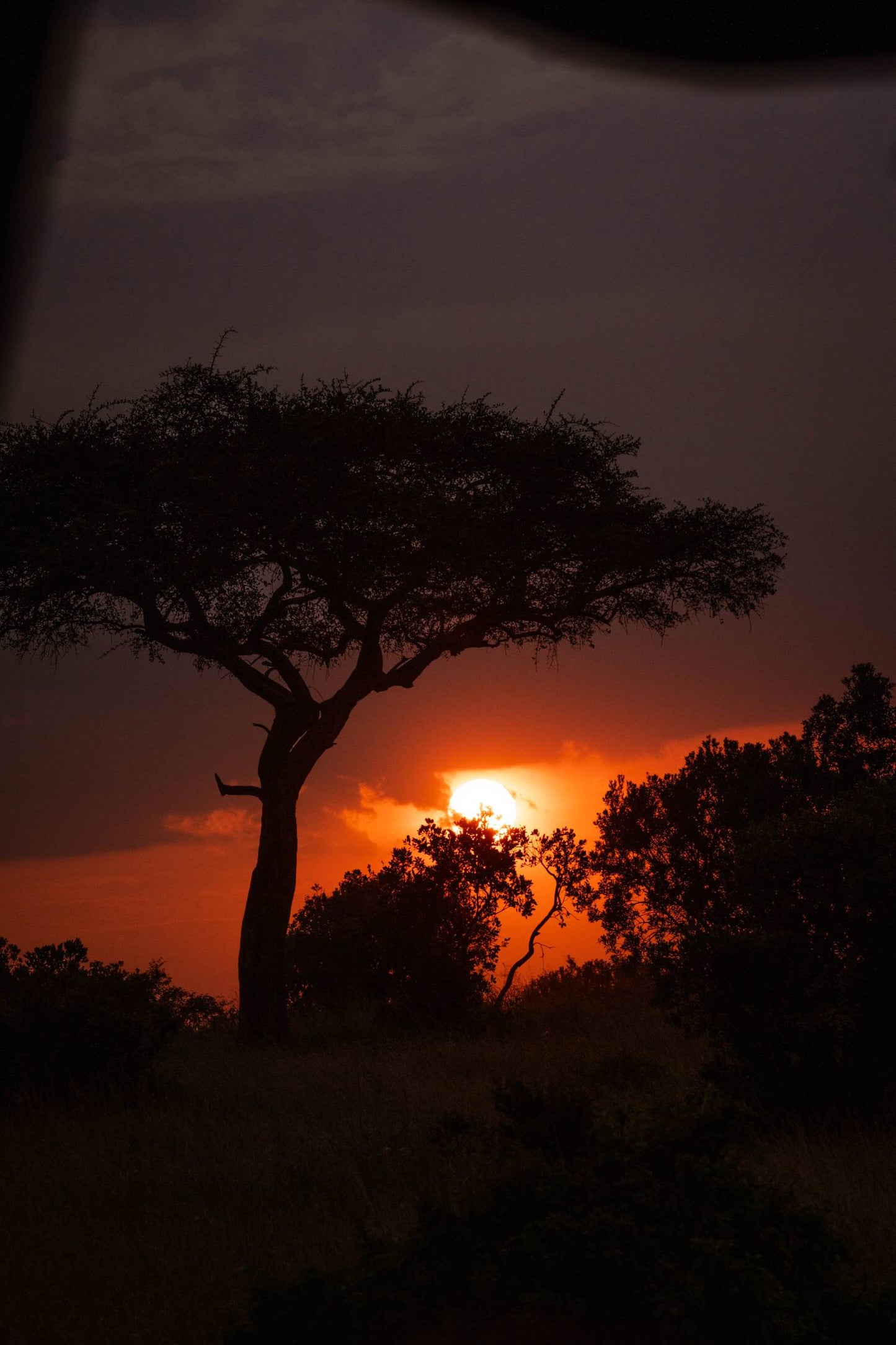 Kenya X Masai Mara