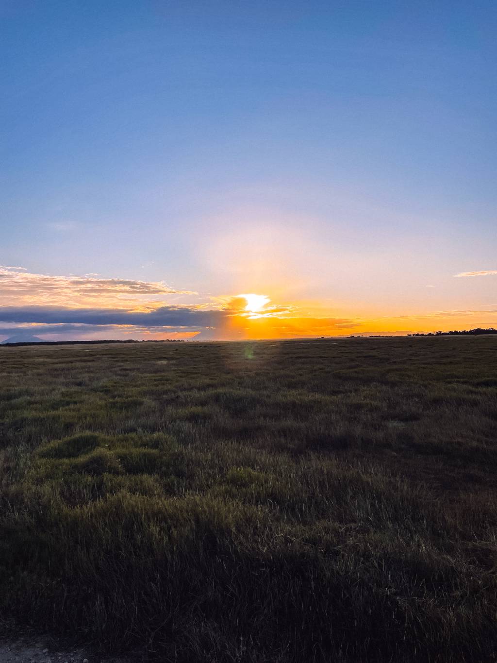 Kenya X Amboseli
