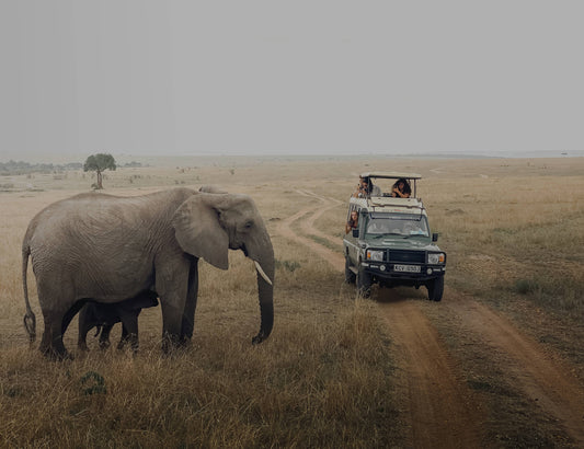 Beyond Borders