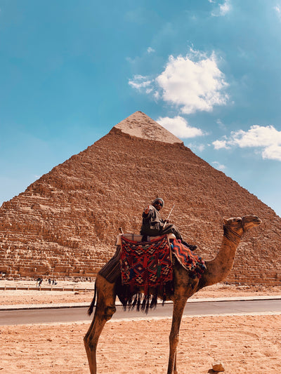 Nile to Desert